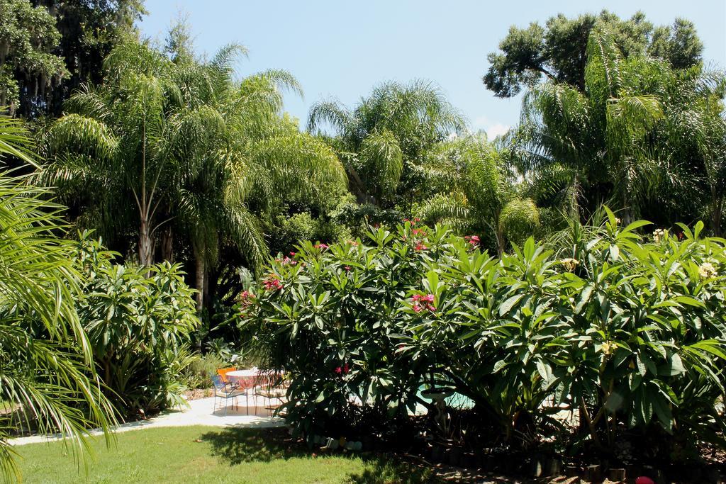 Heron Cay Lakeview Bed & Breakfast マウント・ドラ エクステリア 写真