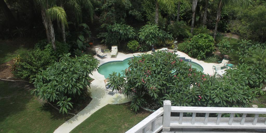 Heron Cay Lakeview Bed & Breakfast マウント・ドラ エクステリア 写真