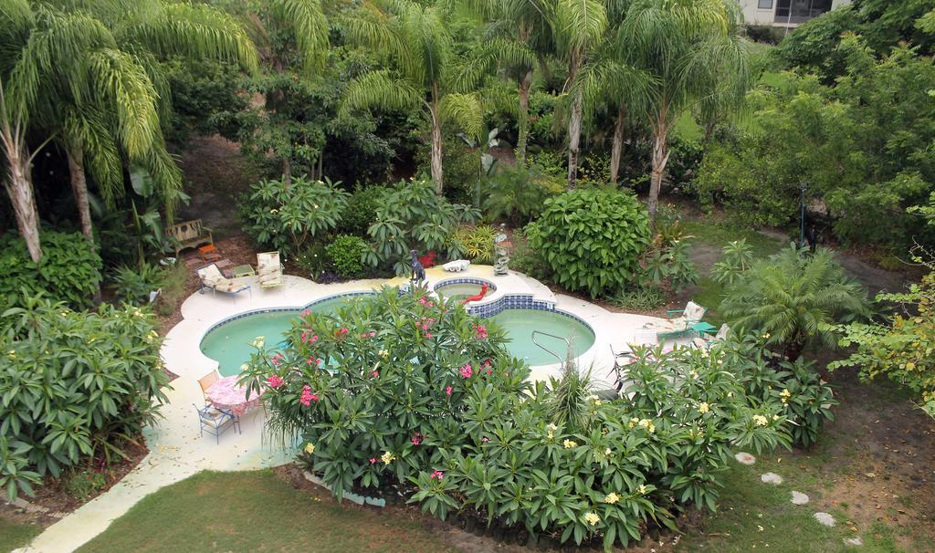 Heron Cay Lakeview Bed & Breakfast マウント・ドラ エクステリア 写真