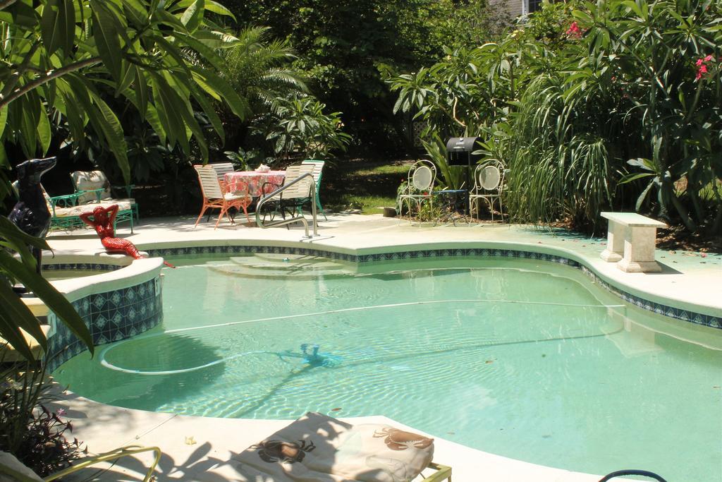 Heron Cay Lakeview Bed & Breakfast マウント・ドラ エクステリア 写真