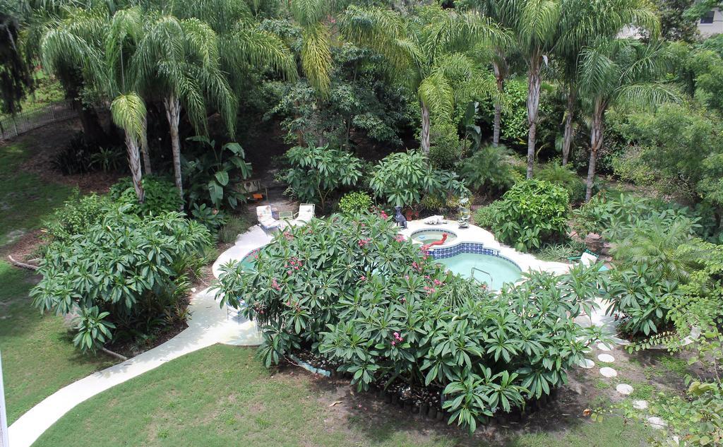 Heron Cay Lakeview Bed & Breakfast マウント・ドラ エクステリア 写真